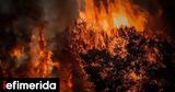Wildfire Destroys Homes,Athens Outskirts Before Being Contained