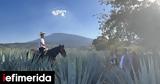 Tequila Tourism,