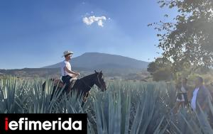 Tequila Tourism