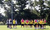 ΑΕΚ, Νίκολιτς,aek, nikolits