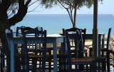 Σαφάρι, - Ποιοι,safari, - poioi