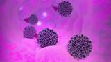 HPV, Μύθοι,HPV, mythoi