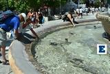 41°C -,