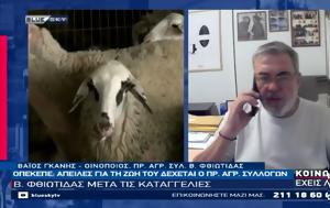 ΚΟΙΝΩΝΙΑ ΕΧΕΙΣ ΛΟΓΟ 07-07-25, koinonia echeis logo 07-07-25