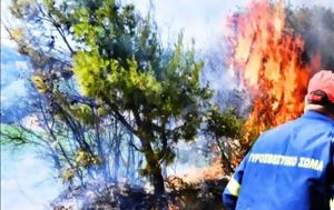 Υψηλός, Κεντρική Μακεδονία - Απαγόρευση, Χαλκιδική, Φλώρινα, ypsilos, kentriki makedonia - apagorefsi, chalkidiki, florina