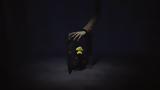 Little Nightmares Enhanced Edition,-gen