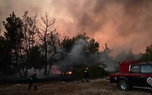 Φωτιά, Ωρωπό, – Μάχη, fotia, oropo, – machi