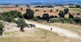 ΟΠΕΚΕΠΕ, Κατασχέσεις, Αύγουστο, ΑΦΜ,opekepe, katascheseis, avgousto, afm