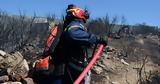 Wildfire Near Polytechnic University Under Control — Large Firefighting Force Deployed,