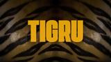 Τίγρης,tigris